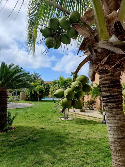 Aruba Family Oasis 2Br Pool 3Min Walk To Eagle Beach Palm Beach Exterior photo
