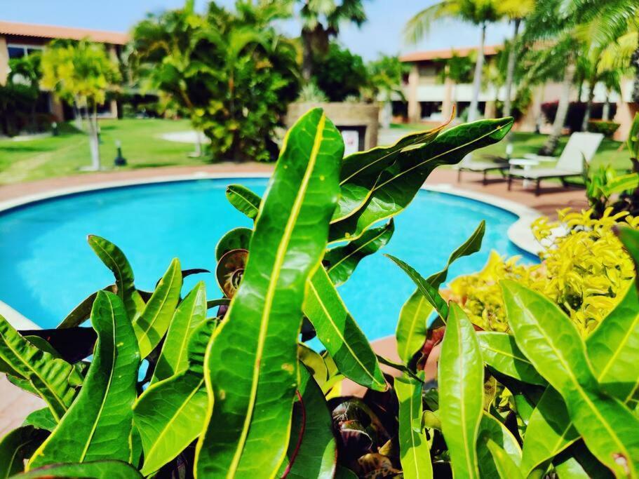 Aruba Family Oasis 2Br Pool 3Min Walk To Eagle Beach Palm Beach Exterior photo